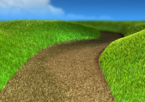 Illustration created using photoshop and 3D Studio Max hair & fur simulation